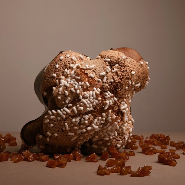 Colomba all'albicocca